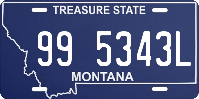 MT license plate 995343L