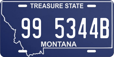 MT license plate 995344B