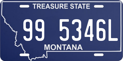 MT license plate 995346L