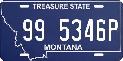 MT license plate 995346P