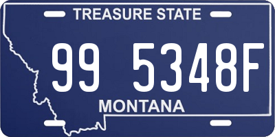 MT license plate 995348F