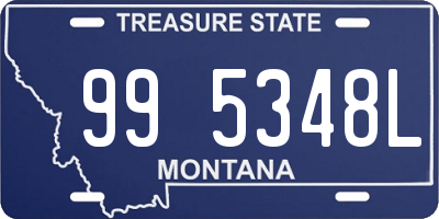 MT license plate 995348L