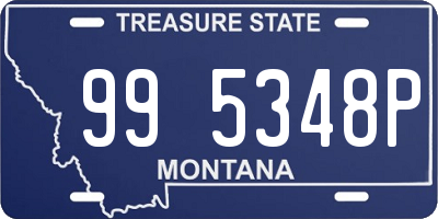 MT license plate 995348P