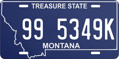 MT license plate 995349K