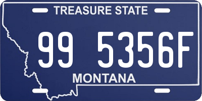 MT license plate 995356F