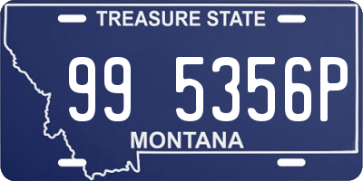 MT license plate 995356P