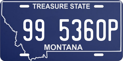 MT license plate 995360P