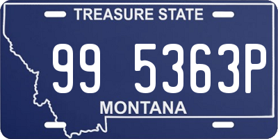 MT license plate 995363P