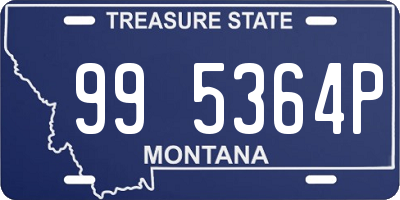 MT license plate 995364P