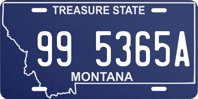 MT license plate 995365A