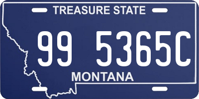 MT license plate 995365C