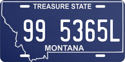 MT license plate 995365L