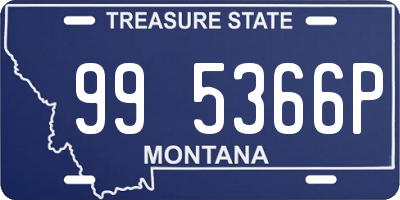 MT license plate 995366P