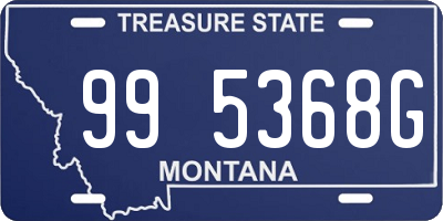MT license plate 995368G
