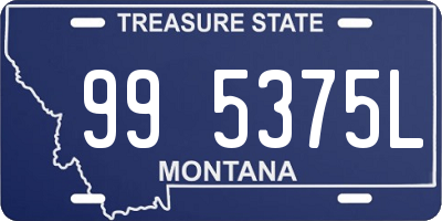 MT license plate 995375L