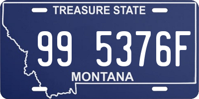 MT license plate 995376F