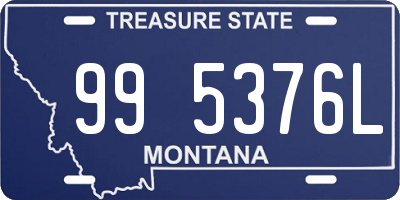 MT license plate 995376L