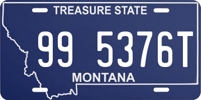 MT license plate 995376T