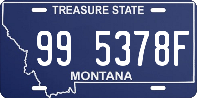 MT license plate 995378F