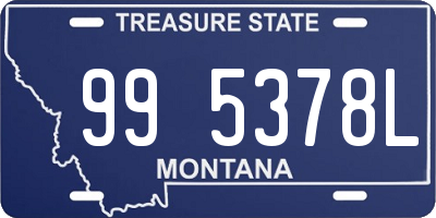 MT license plate 995378L