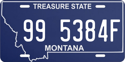 MT license plate 995384F