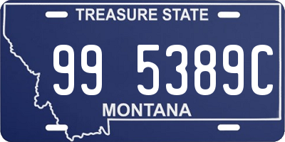 MT license plate 995389C