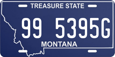 MT license plate 995395G