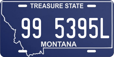 MT license plate 995395L