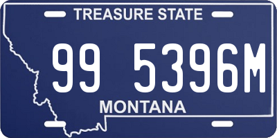 MT license plate 995396M