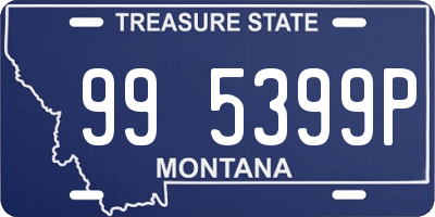 MT license plate 995399P