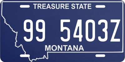 MT license plate 995403Z