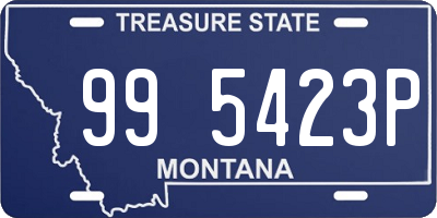 MT license plate 995423P