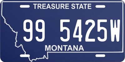 MT license plate 995425W