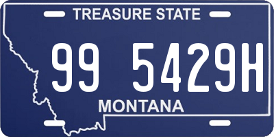 MT license plate 995429H