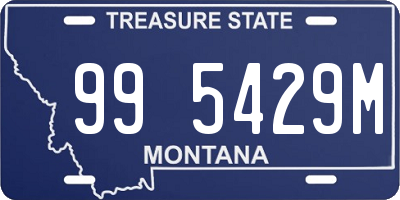 MT license plate 995429M