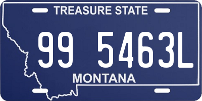 MT license plate 995463L