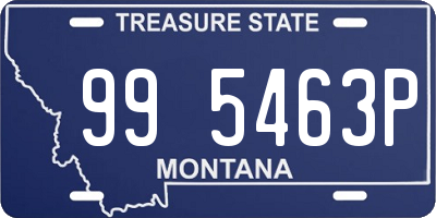 MT license plate 995463P