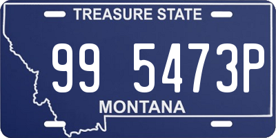 MT license plate 995473P