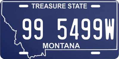 MT license plate 995499W