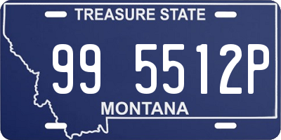 MT license plate 995512P