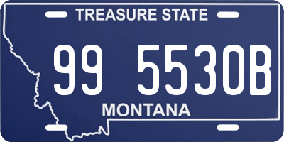 MT license plate 995530B