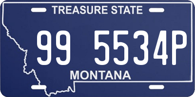 MT license plate 995534P