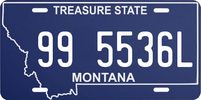 MT license plate 995536L