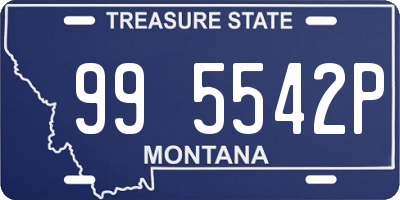 MT license plate 995542P