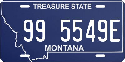 MT license plate 995549E