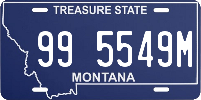 MT license plate 995549M