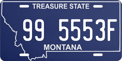 MT license plate 995553F