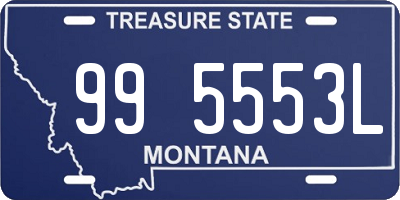 MT license plate 995553L