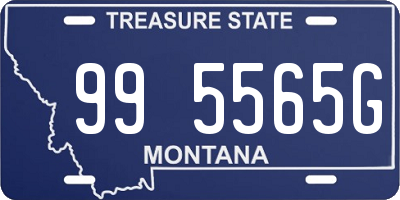 MT license plate 995565G