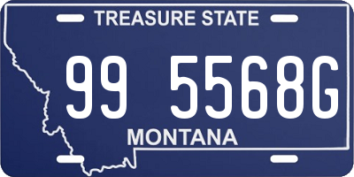 MT license plate 995568G